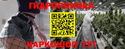 альфа пвп Кингисепп