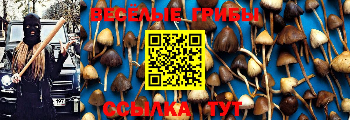 Псилоцибиновые грибы GOLDEN TEACHER  Вход с VPN  продажа наркотиков  Губкинский 